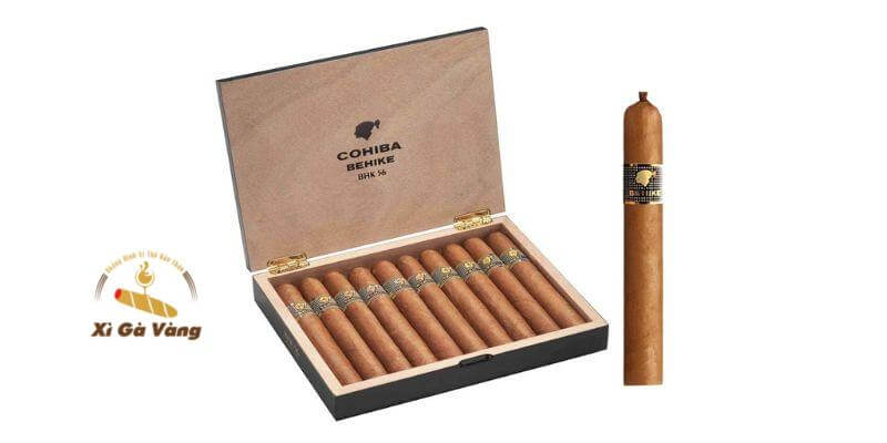 Tặng xì gà Cuba thể hiện sự trân trọng.